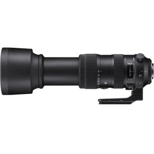 Sigma 60-600mm f/4.5-6.3 DG OS HSM Sports Lens for