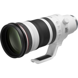 Canon RF 100-300mm f/2.8L IS USM Lens