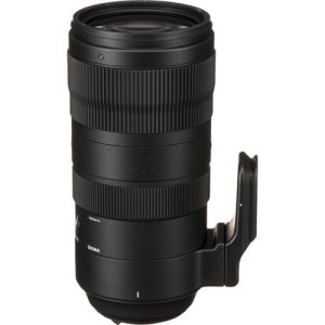 Sigma 70-200mm f/2.8 DG OS HSM Sports Lens for Nikon F