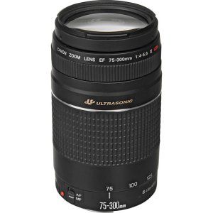 CANON RF 75-300MM F/4-5.6  LENS