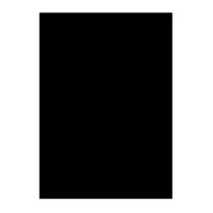 Visico Collapsible Black Screen for Background SBP-1520