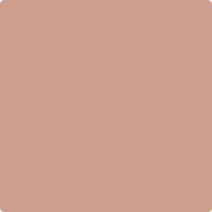 Visico Solid Color Background-Cocoa (3 x 5 m)