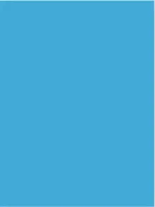 Visico Dyed Color Background-Turquoise Blue W-069 (3 x 6 m)