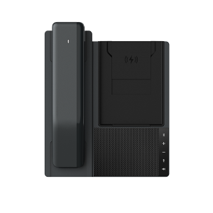 Fanvil DB20-H Phone Station